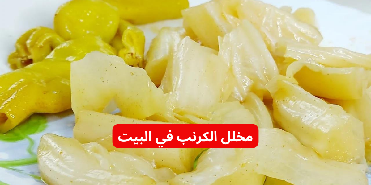 نص فقرتك 2024 01 18T164405.584