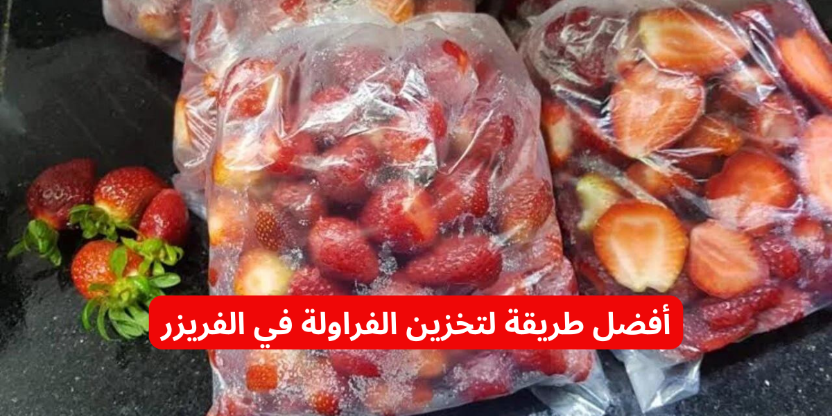 نص فقرتك 2024 01 18T191159.001