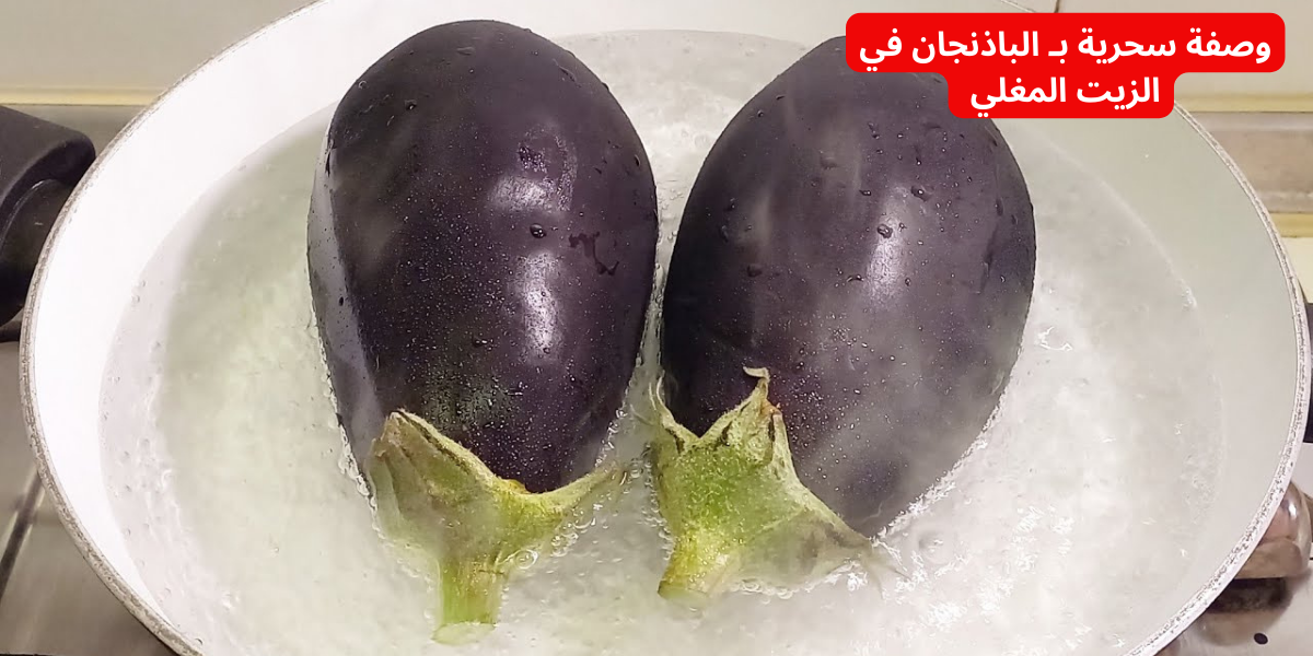 نص فقرتك 2024 01 18T200150.097