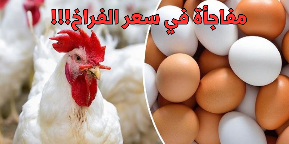 نص فقرتك 2024 01 20T004638.363