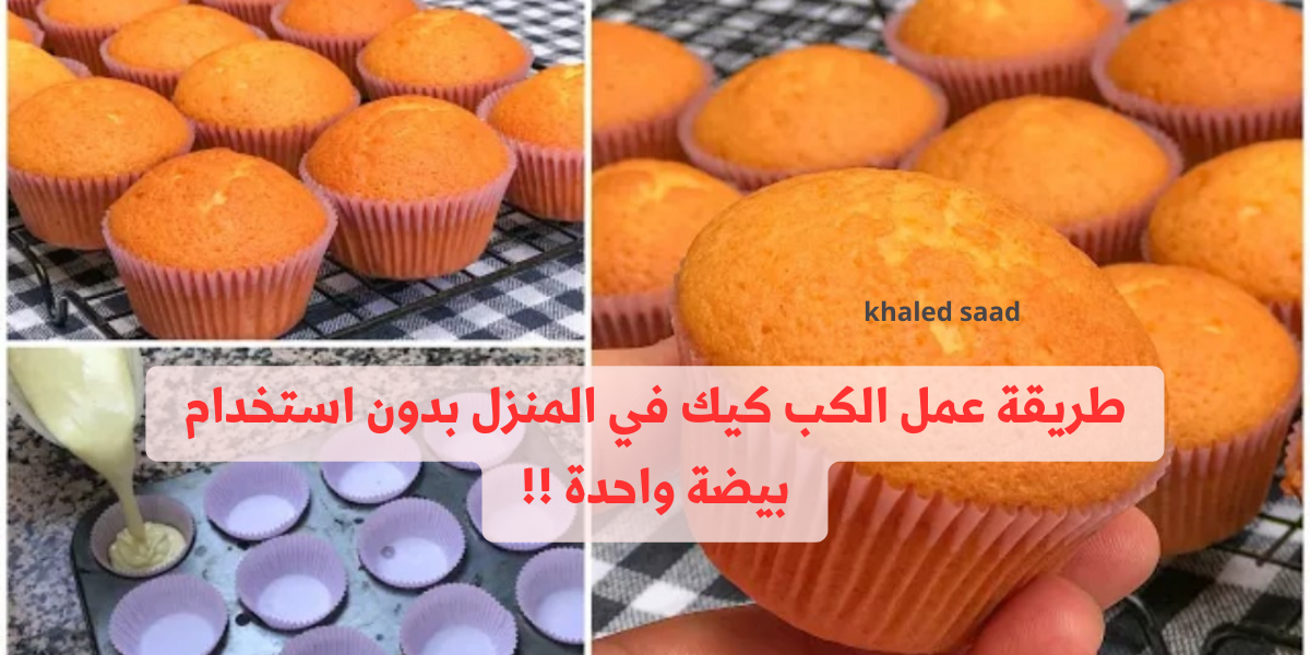 نص فقرتك 2024 01 20T105007.937