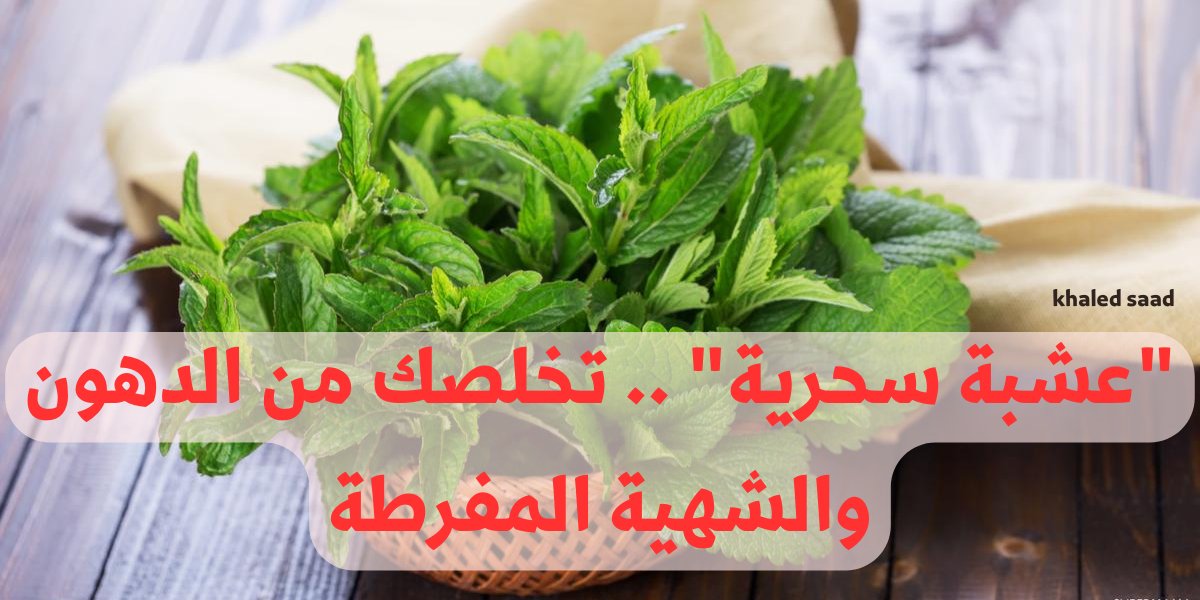 نص فقرتك 2024 01 27T121143.173