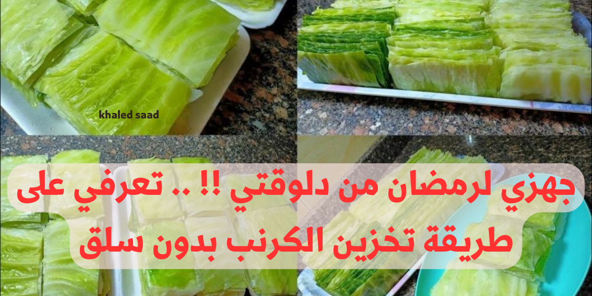 نص فقرتك 2024 01 27T121859.545