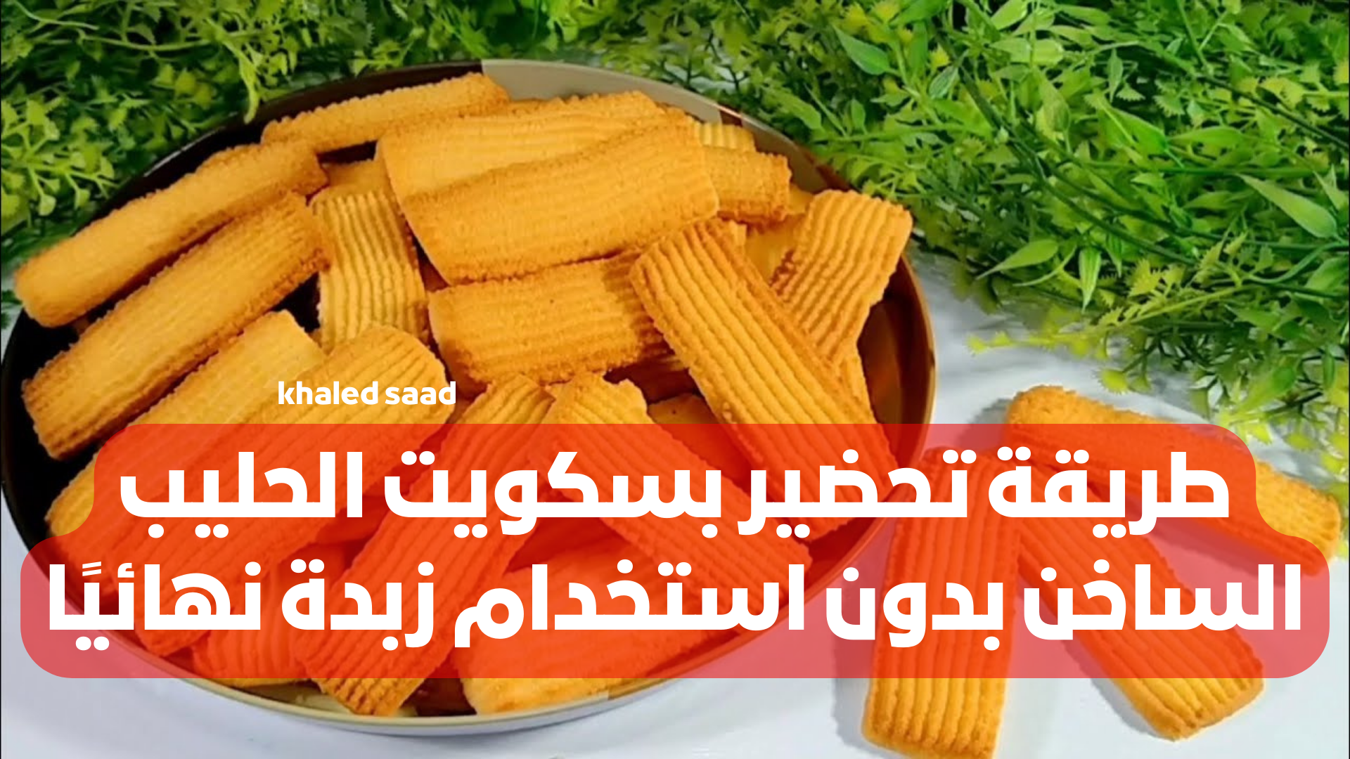 نص فقرتك 2024 01 31T130318.591