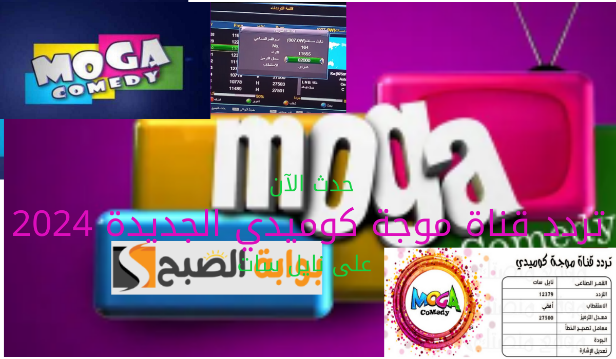 حدث الآن تردد قناة موجة كوميدي الجديدة 2024 على نايل سات