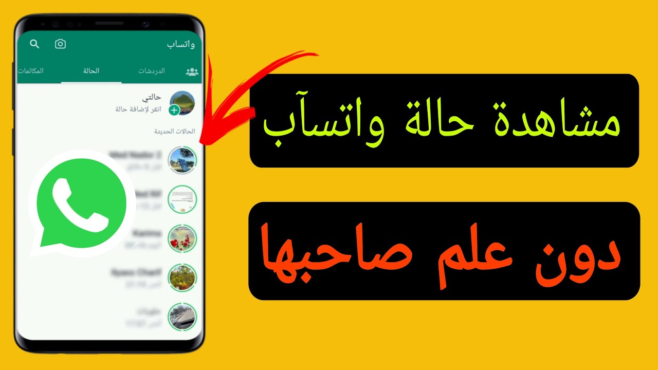 كيفية عرض "Story" واتساب لشخص ما دون معرفته وتفعيل وضع التخفي