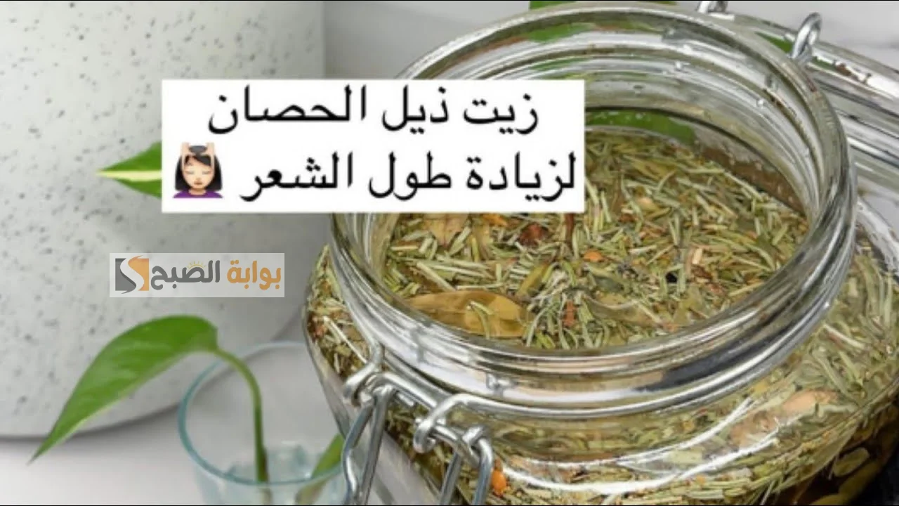 وصفة عشبة ذيل الحصان لتطويل الشعر