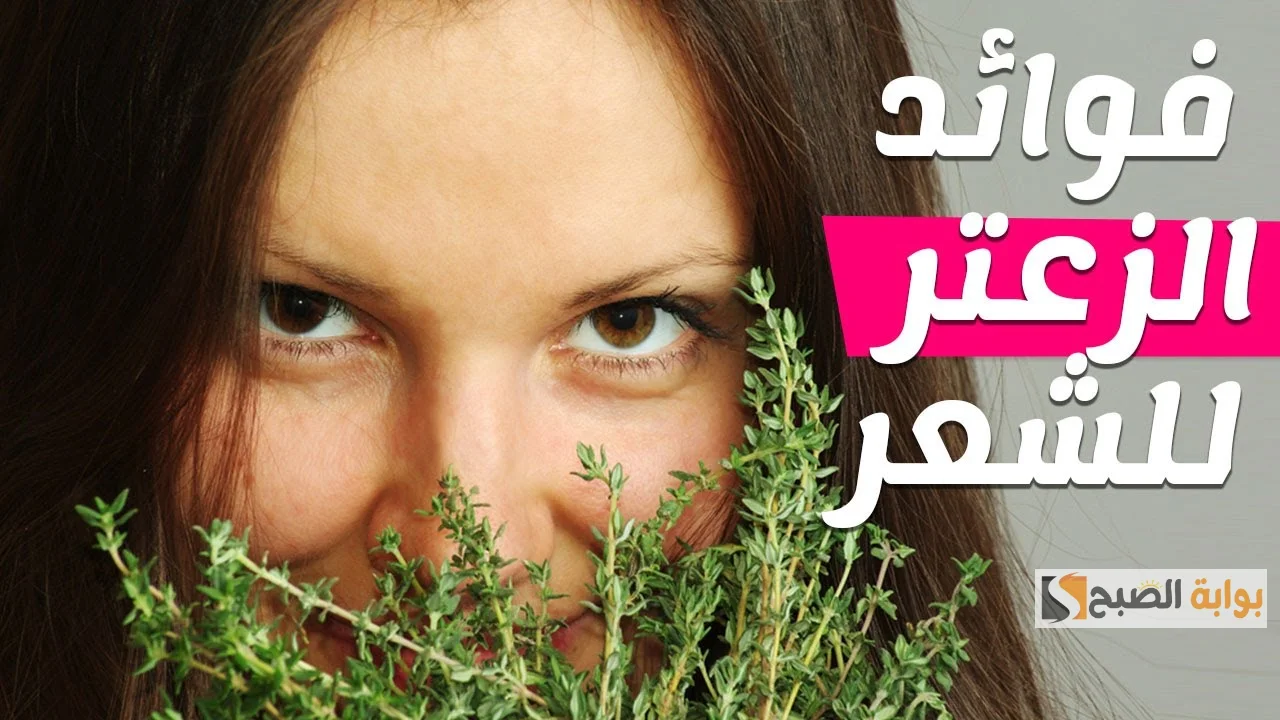 وصفه الزعتر لنمو الشعر