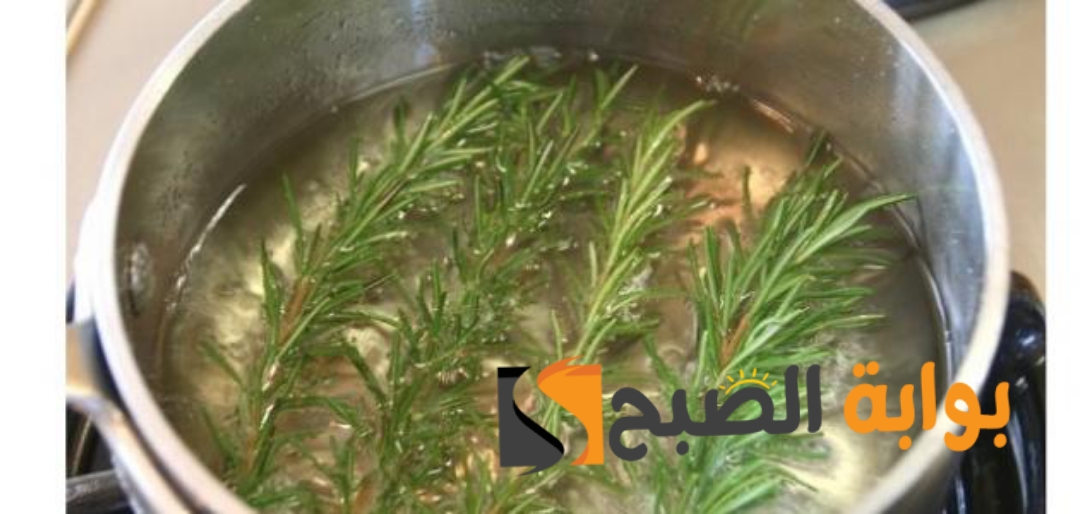 وصفة اكليل الجبل للشعر