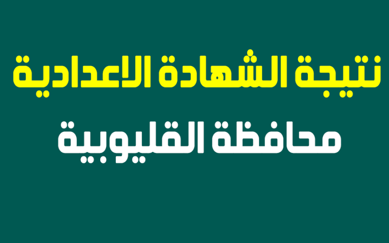 01e1587449eccd471668f91256d91629 800x500 2