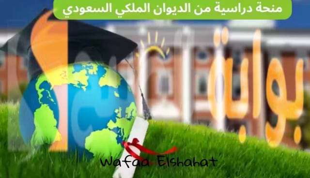 سجل الآن في منحة الديوان الملكي السعودي 2024.. شروط التقديم والمستندات المطلوبة