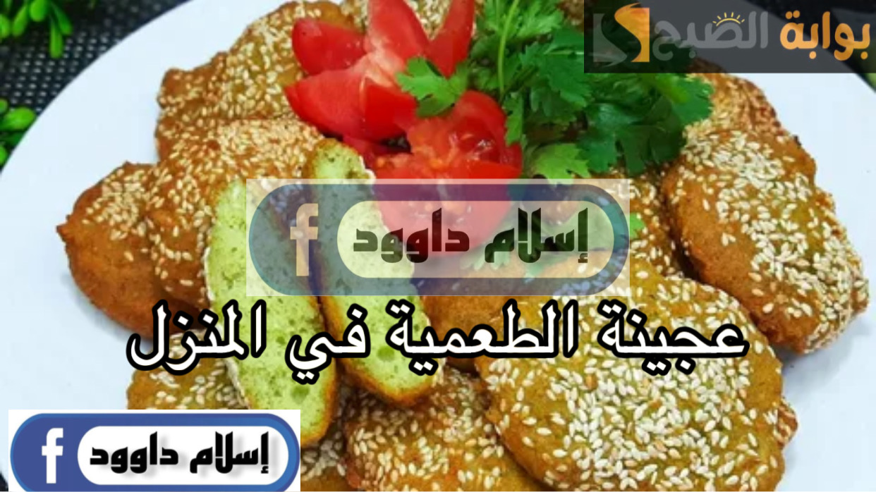 02EDC87C DA2B 4462 BDC3 3A7DBA08A4D0