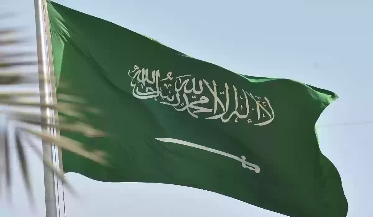 05 02 24 414106253