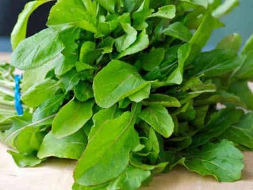 خطوات تحضير زيت الجرجير