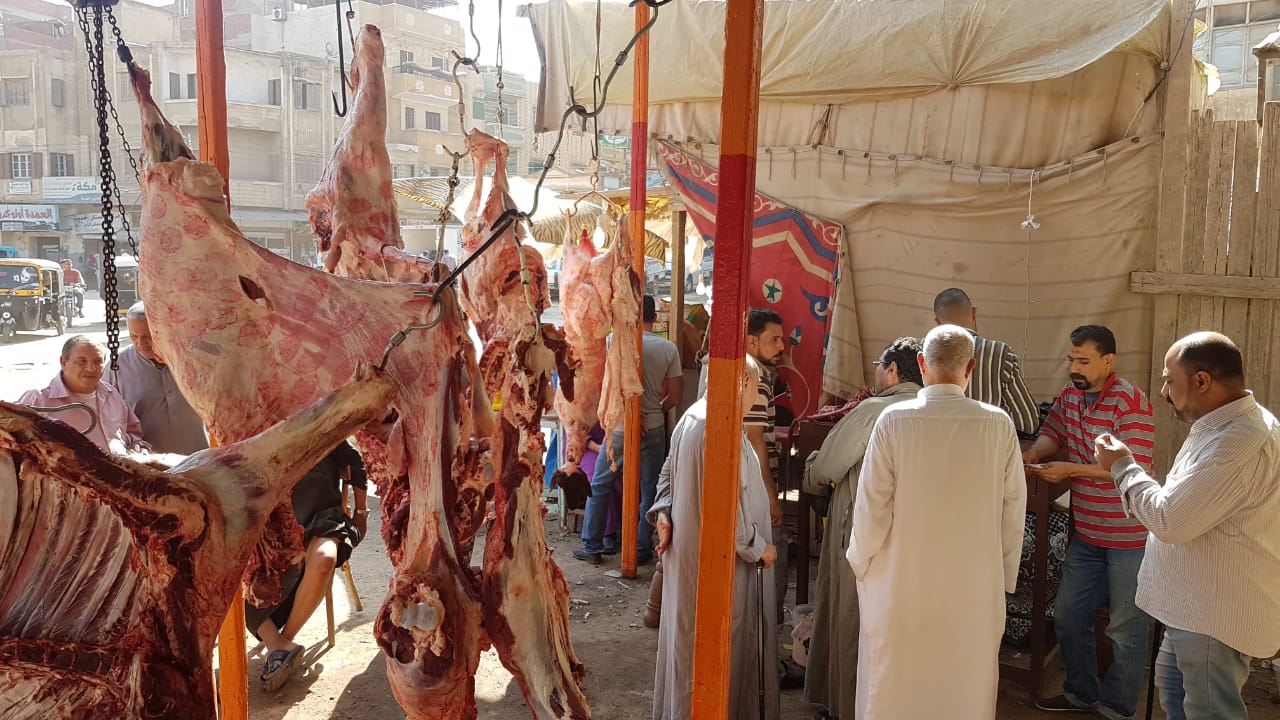 171724 توفير اللحوم بأسعار مخفضة بكفرالشيخ 7