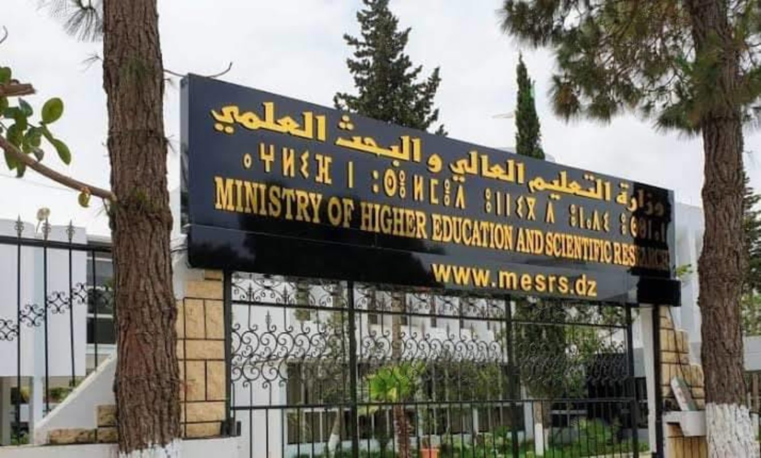 القانون الأساسي للأستاذ الجامعي 2024 في الجزائر