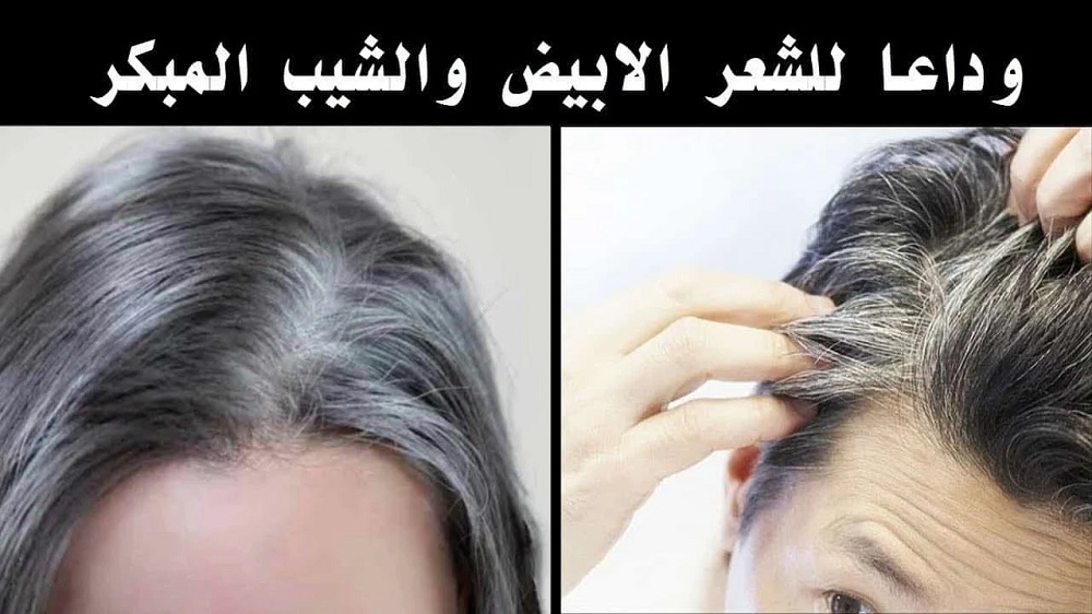 29 09 23 640847146