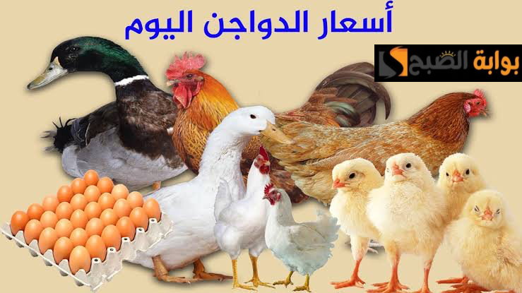 3B752FA8 11CD 46FB 8463 CA6DE261CED9