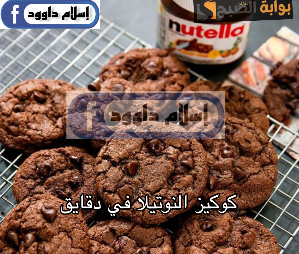 B8E46E5C 9DF0 415E A5E8 7B7A72E67279