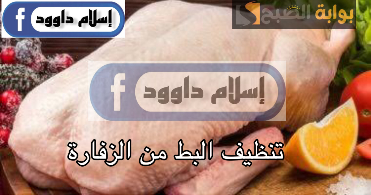C69C5126 6E9F 4406 97F0 29FD7F7B2E71