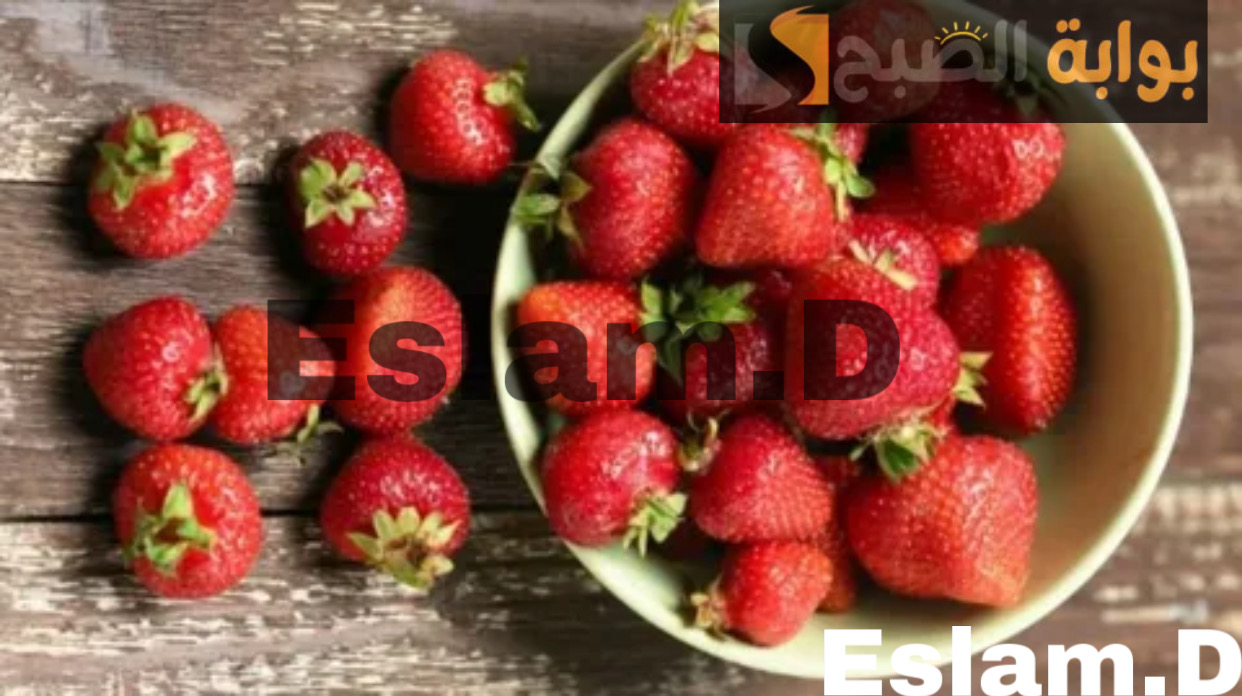 D57F59FB 57B0 49D6 8FC7 4C15F3DEBB74