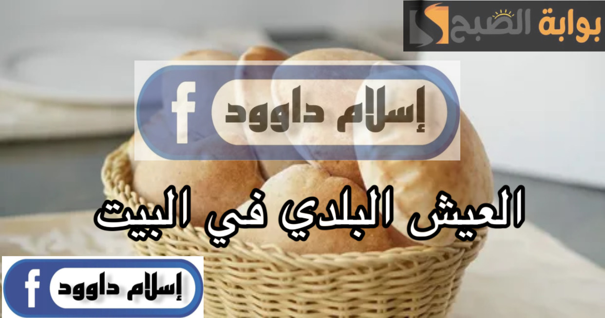 ED802100 2491 4857 BD8A 08C5F685DB87
