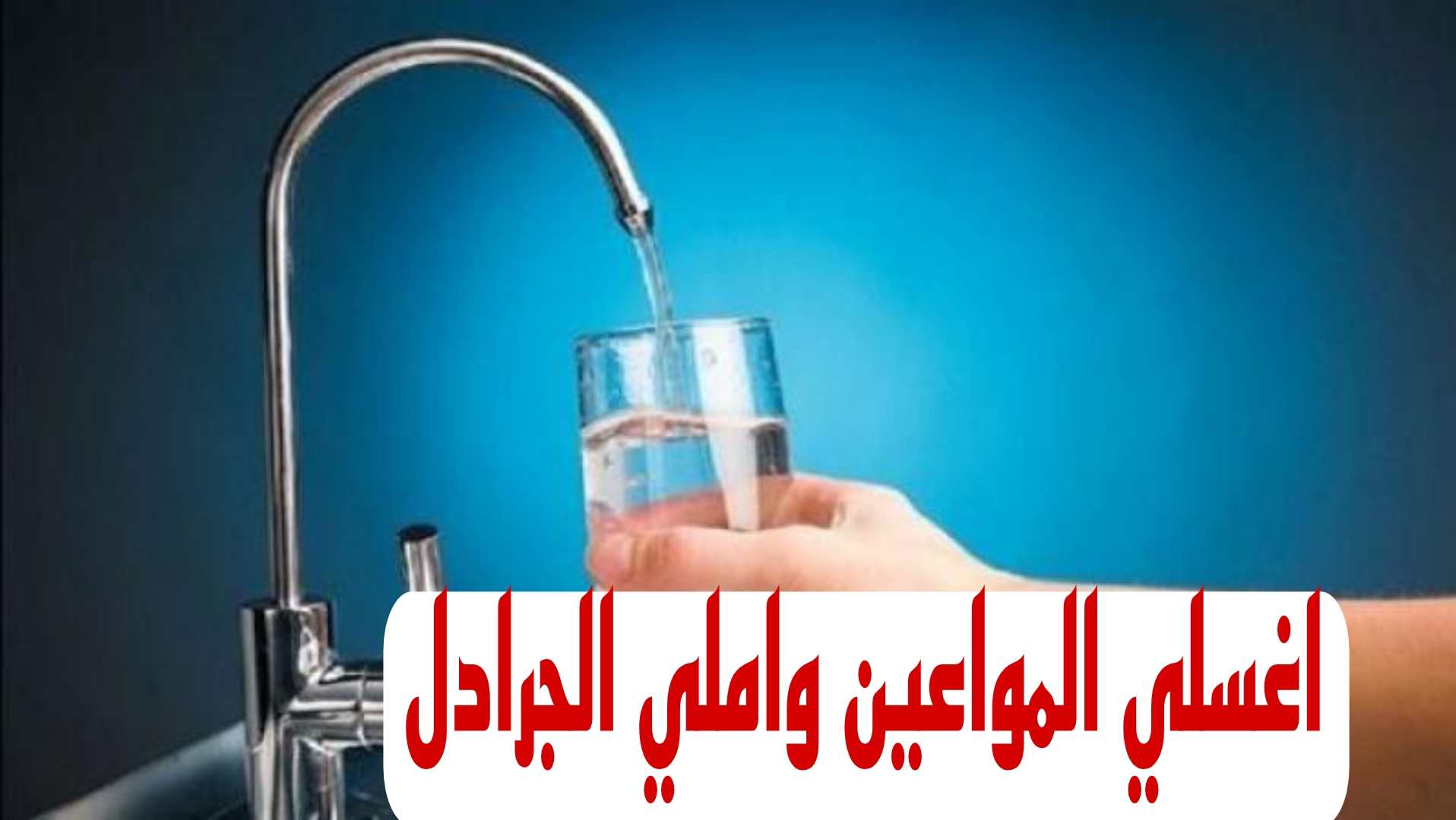 IMG 20240209 WA0106