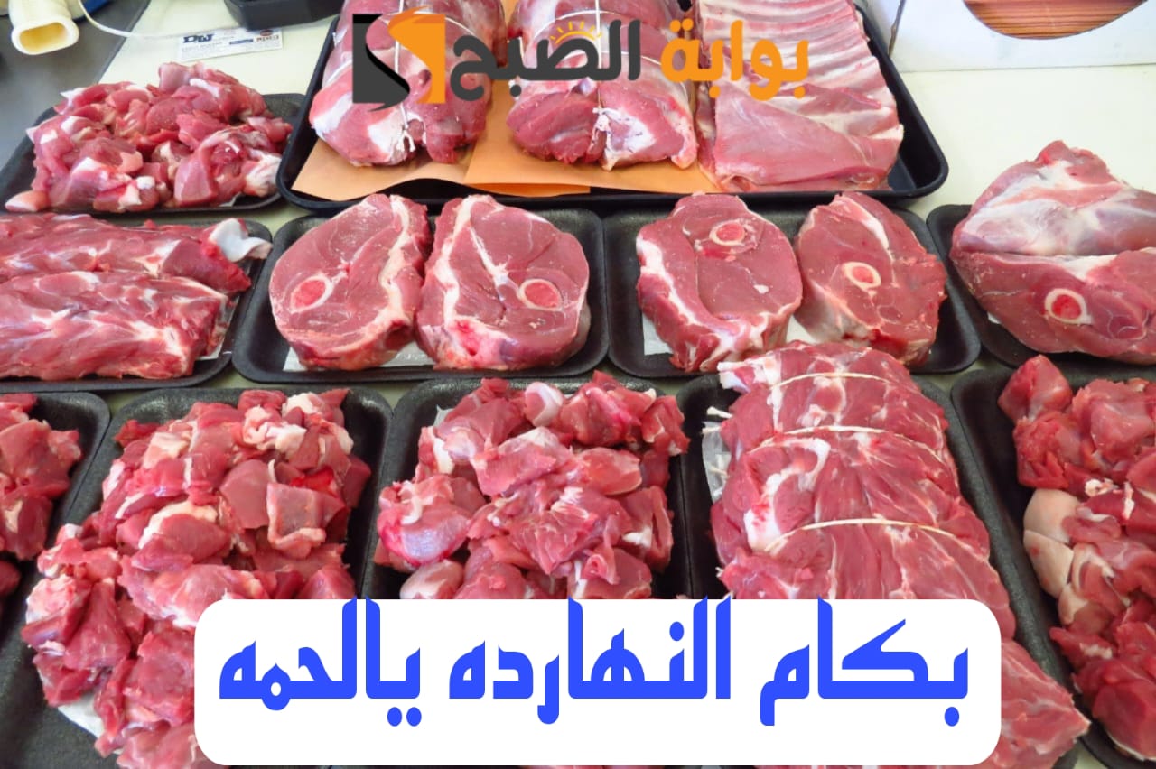IMG 20240215 WA0017
