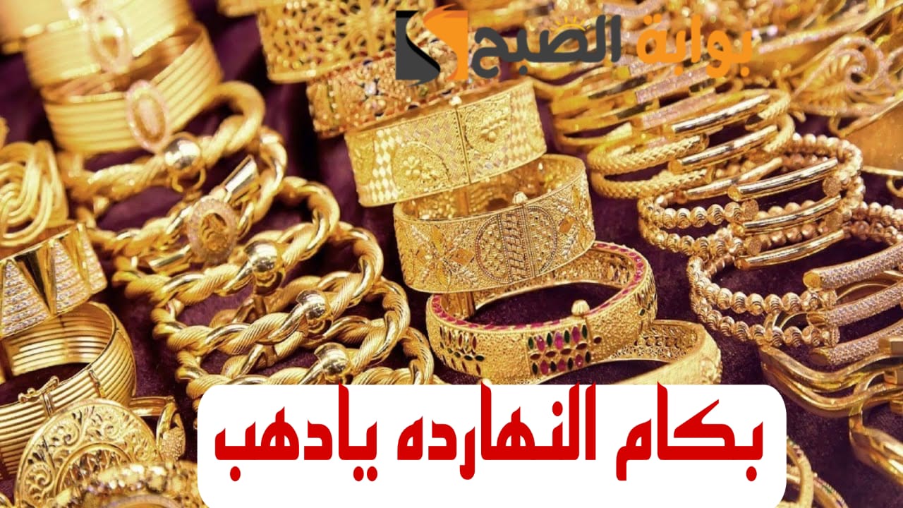 IMG 20240215 WA0021