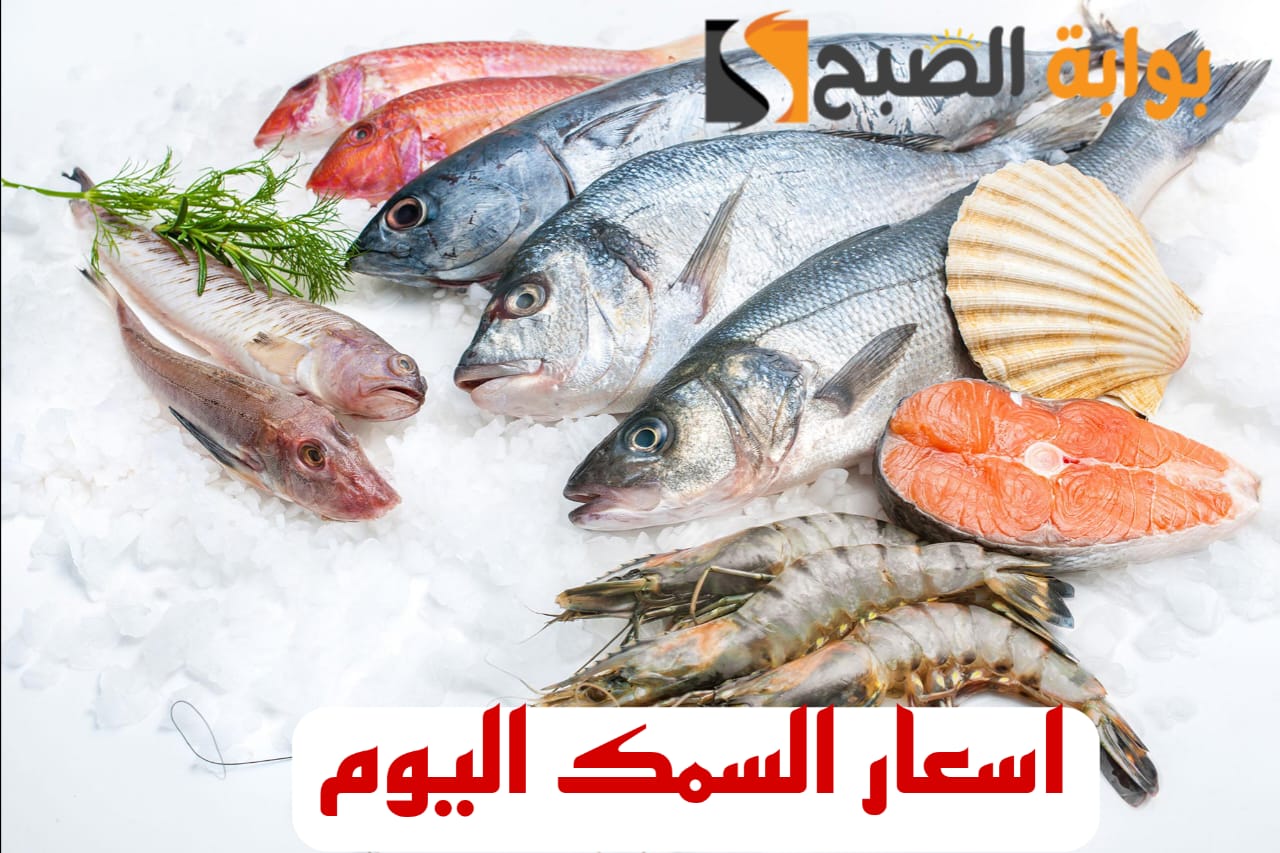IMG 20240215 WA0022