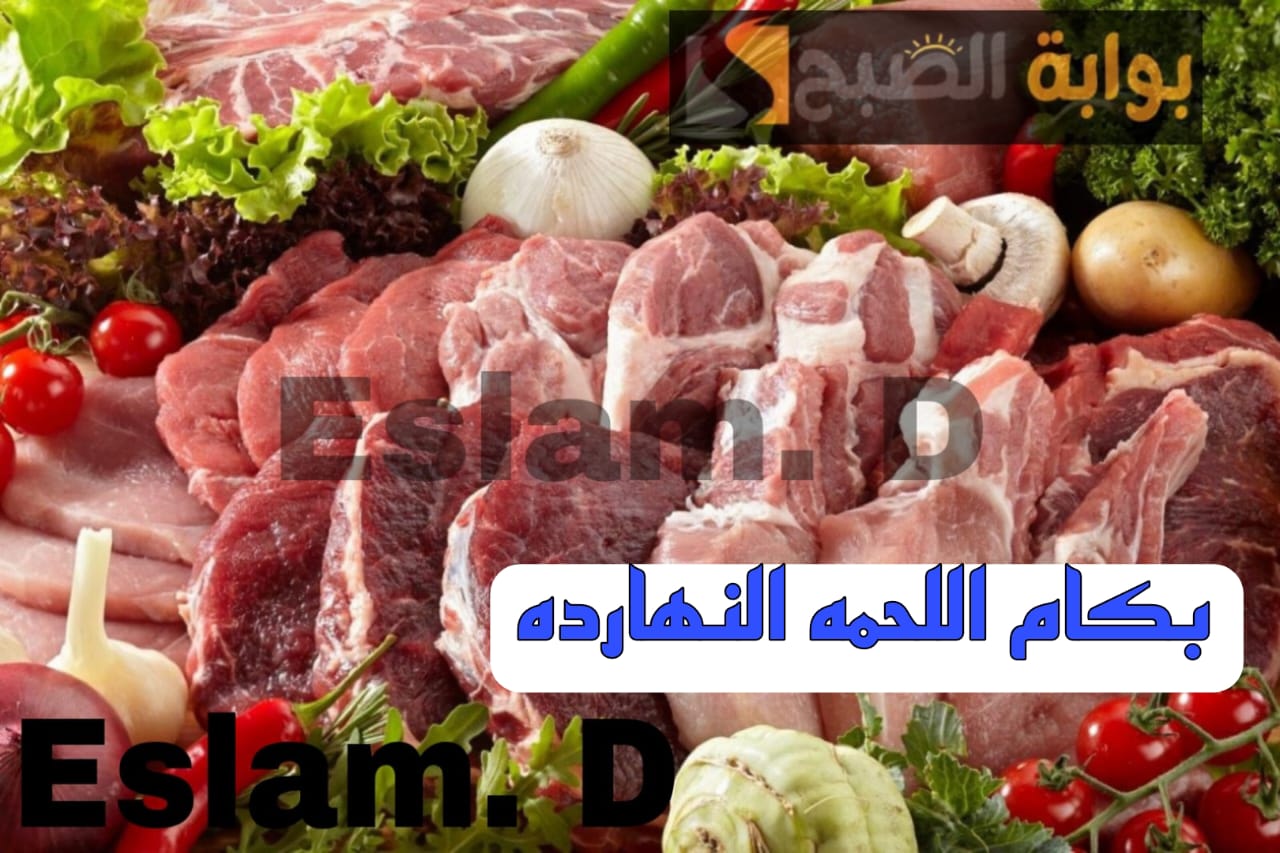 IMG 20240218 WA0023