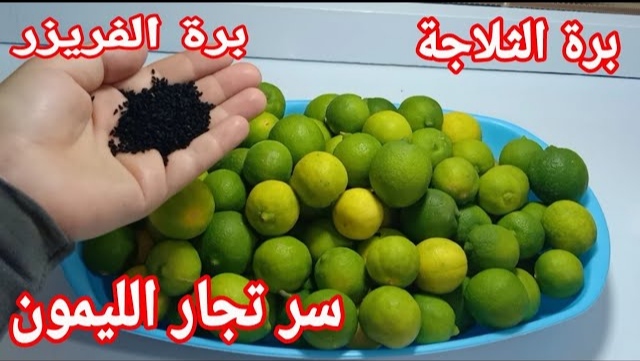 IMG 20220317 1745481