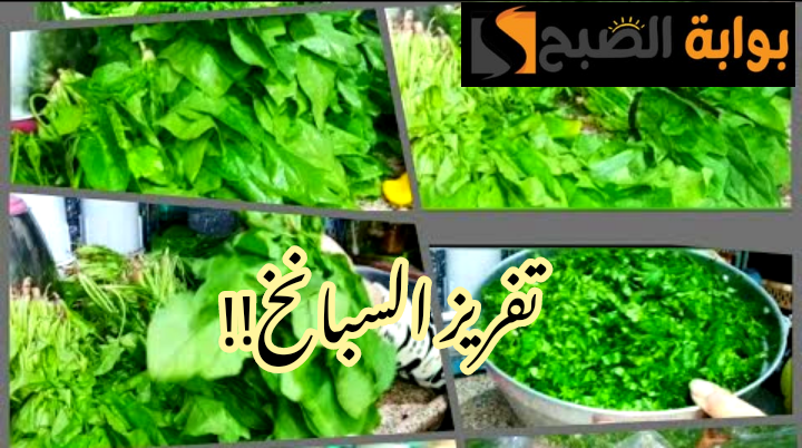 IMG 20240203 121757