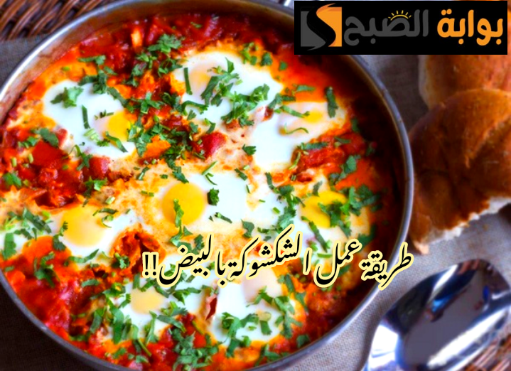 IMG 20240204 152256