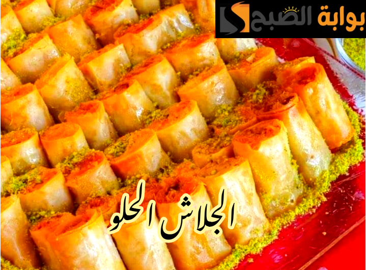 IMG 20240205 121411