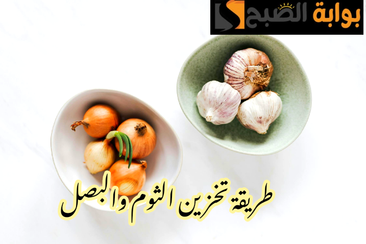 IMG 20240205 220437