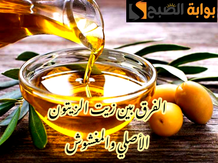IMG 20240207 094701