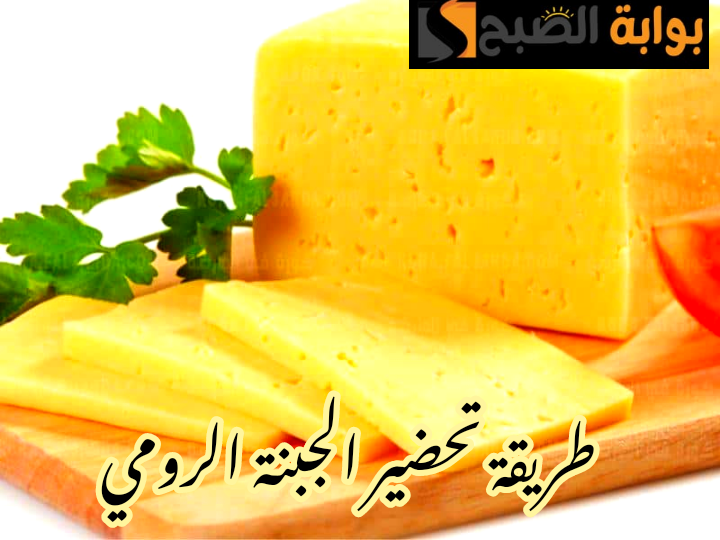 IMG 20240210 134719