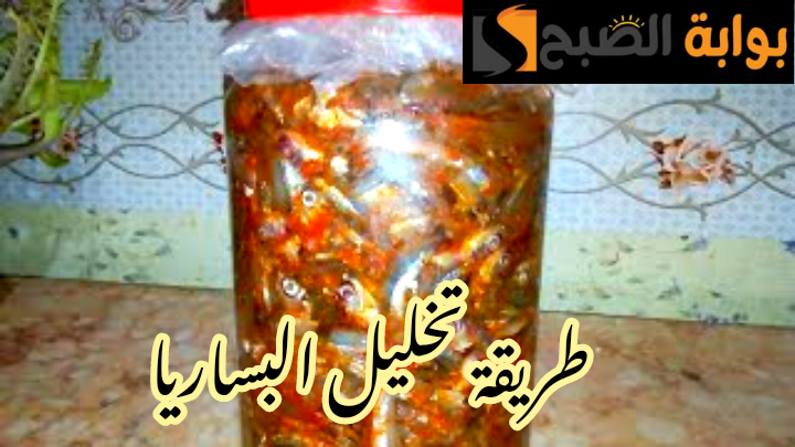IMG 20240211 212646