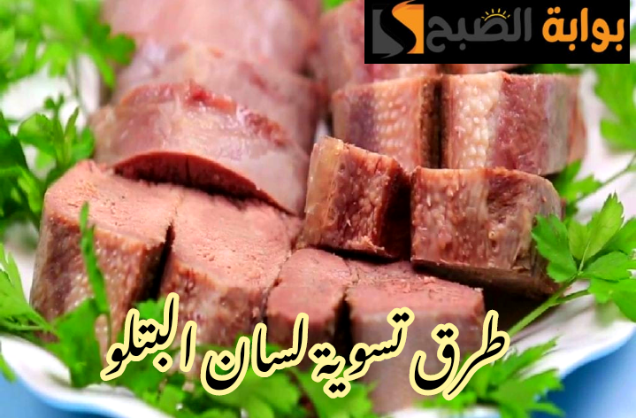 IMG 20240213 123640