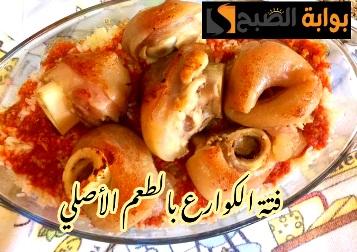 IMG 20240213 135838
