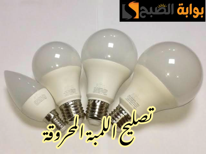 IMG 20240214 061753