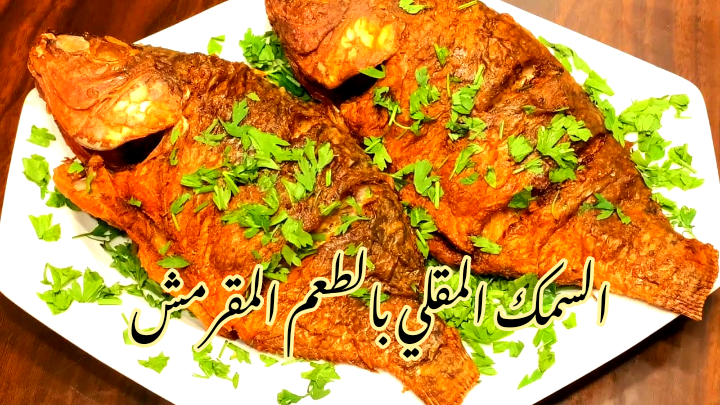 IMG 20240216 020657