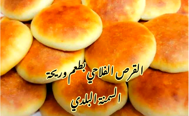 IMG 20240216 141818