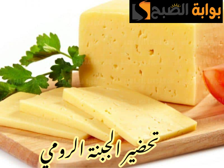 IMG 20240217 154446