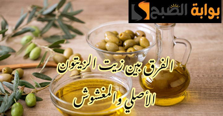 IMG 20240217 234215