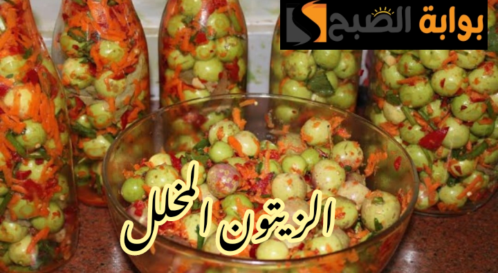 IMG 20240218 103510