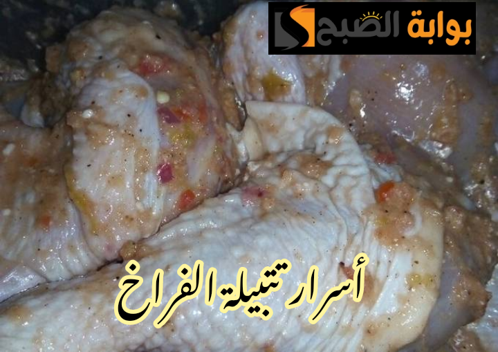 IMG 20240219 005511 1