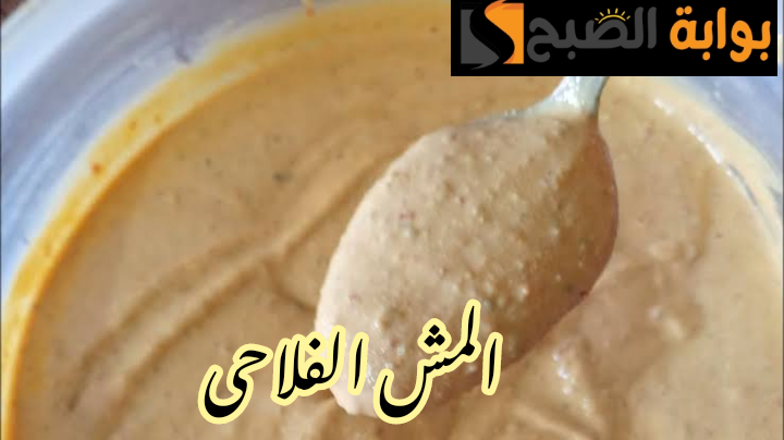 IMG 20240222 053341