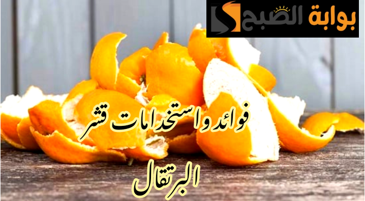 IMG 20240222 063244